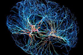 Neuroplastilisus ja peegelteraapia